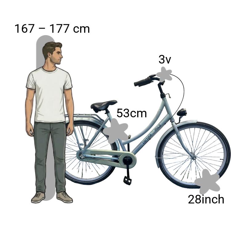 Bicicletta usata Cortina Milo 2/4