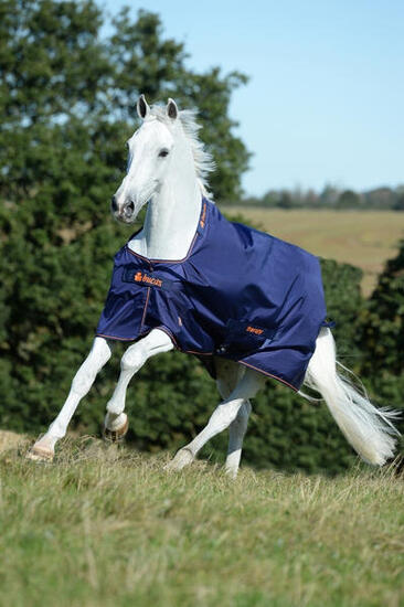 Couverture pour cheval Bucas Therapy Turnout 150g