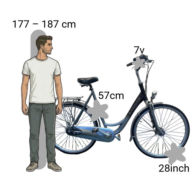 Bicicleta usada Batavus 2/4