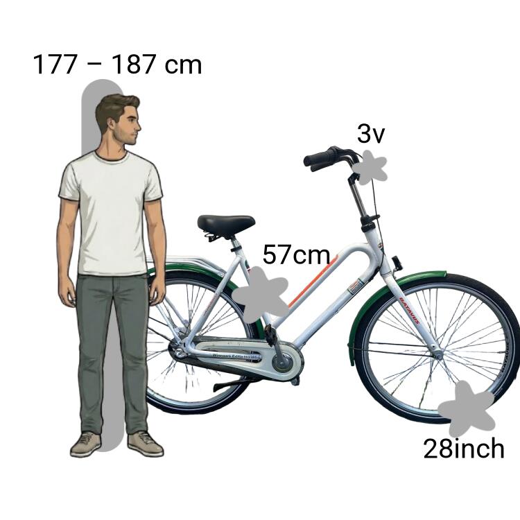 Bicicleta usada Batavus Postcode 2/4