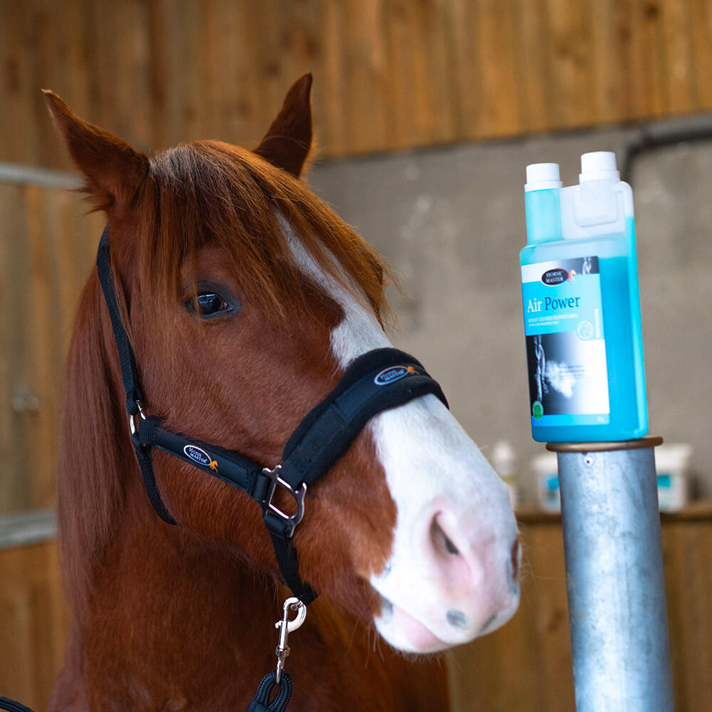 Voies respiratoires Air Power Horse Master 2/2