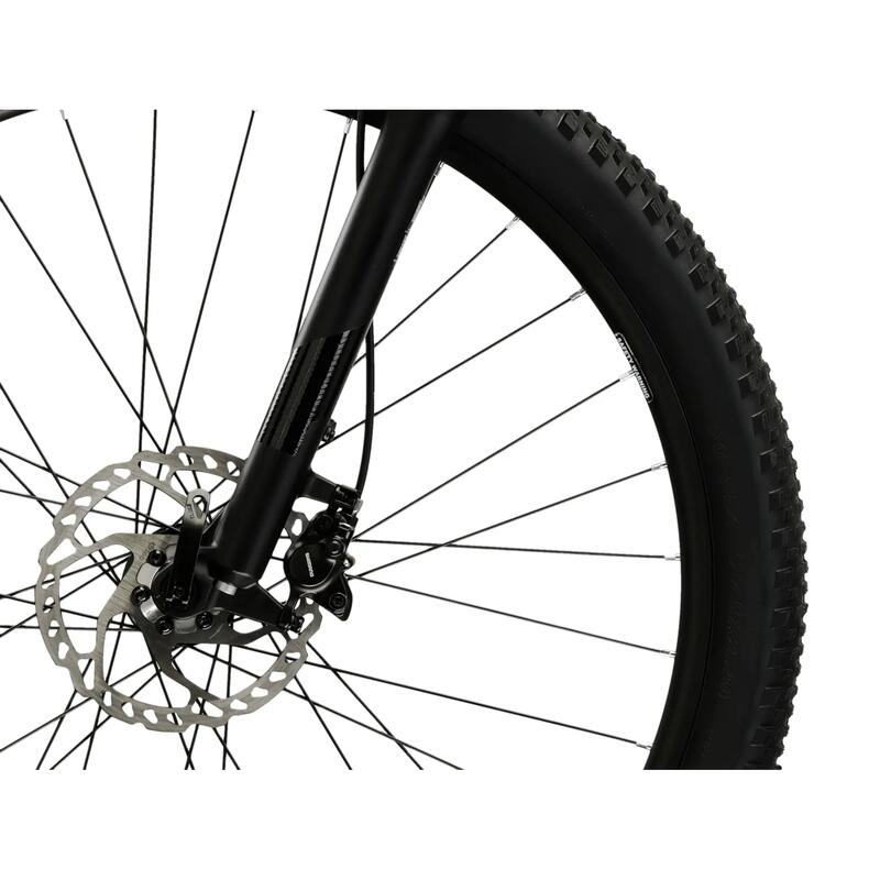 Kross HEXAGON X300 29" L - albastru