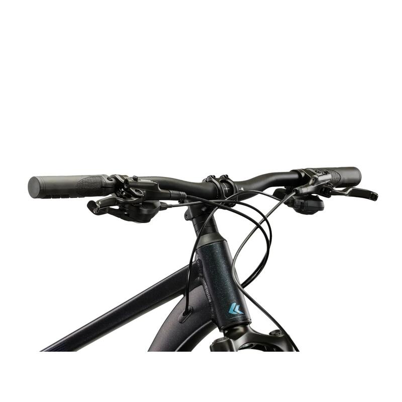 Kross HEXAGON X300 29" L - albastru