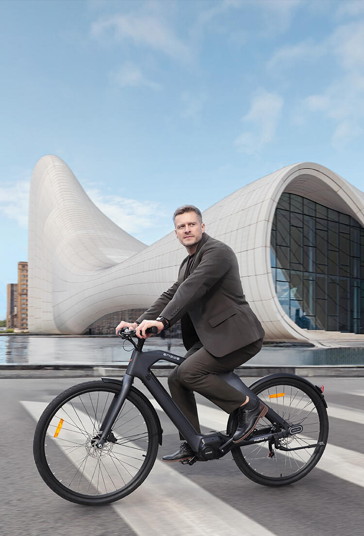 ENGWE-N1 PRO elektrische stadsfiets lange actieradius 7/12
