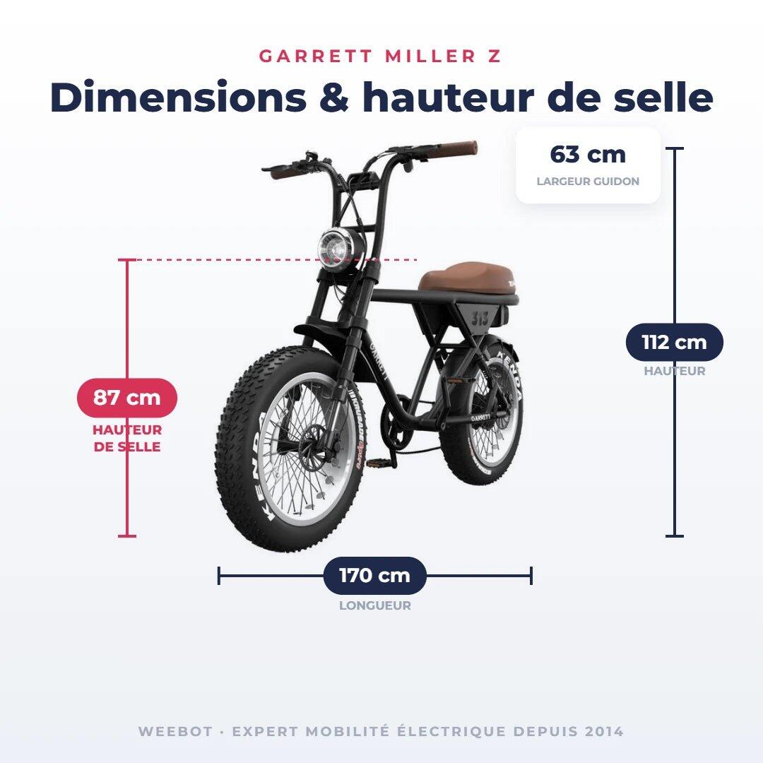 Fatbike Électrique Biplace Cargo Garrett Miller Z 6/6