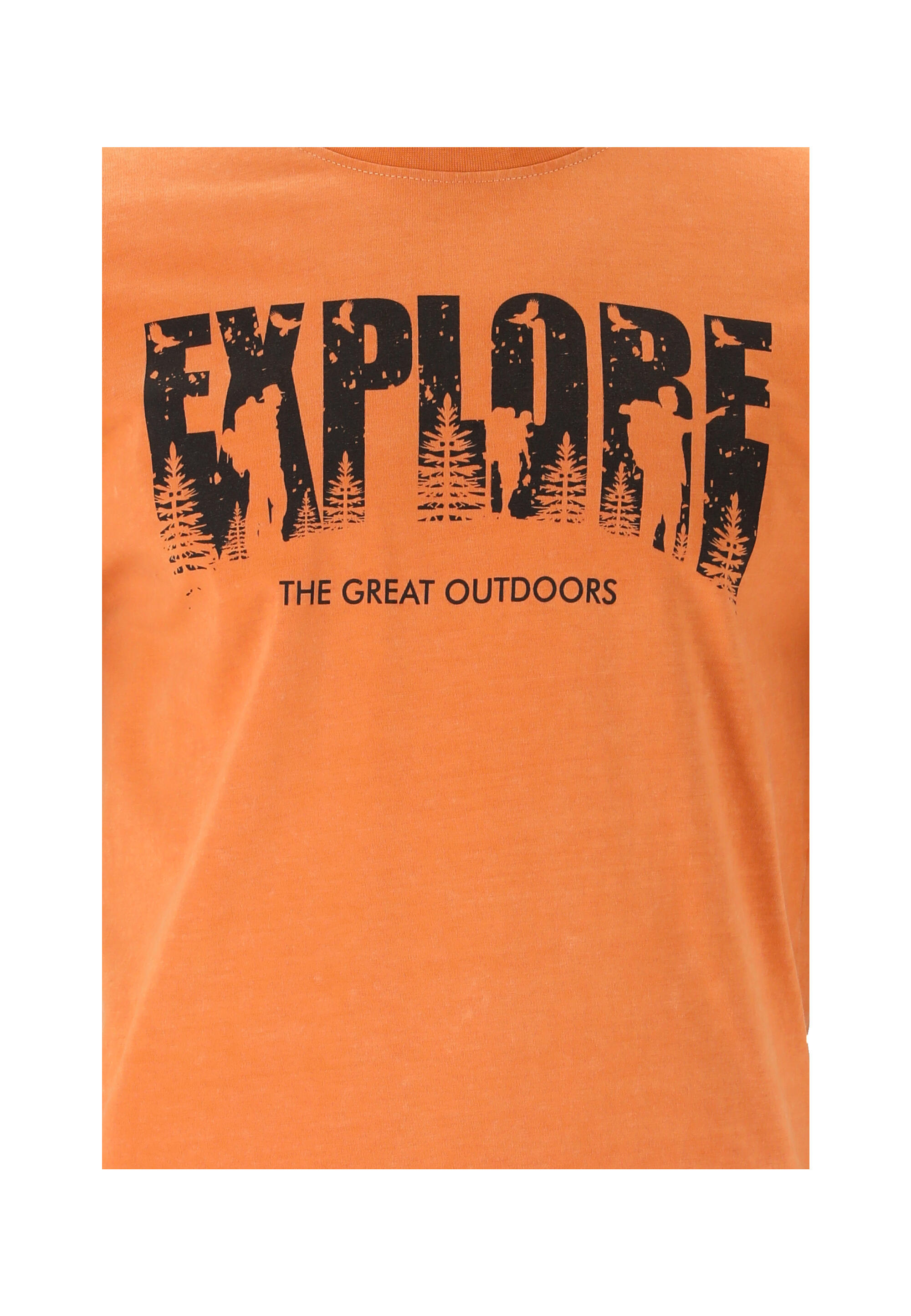 T-Shirt Explorer 6/15