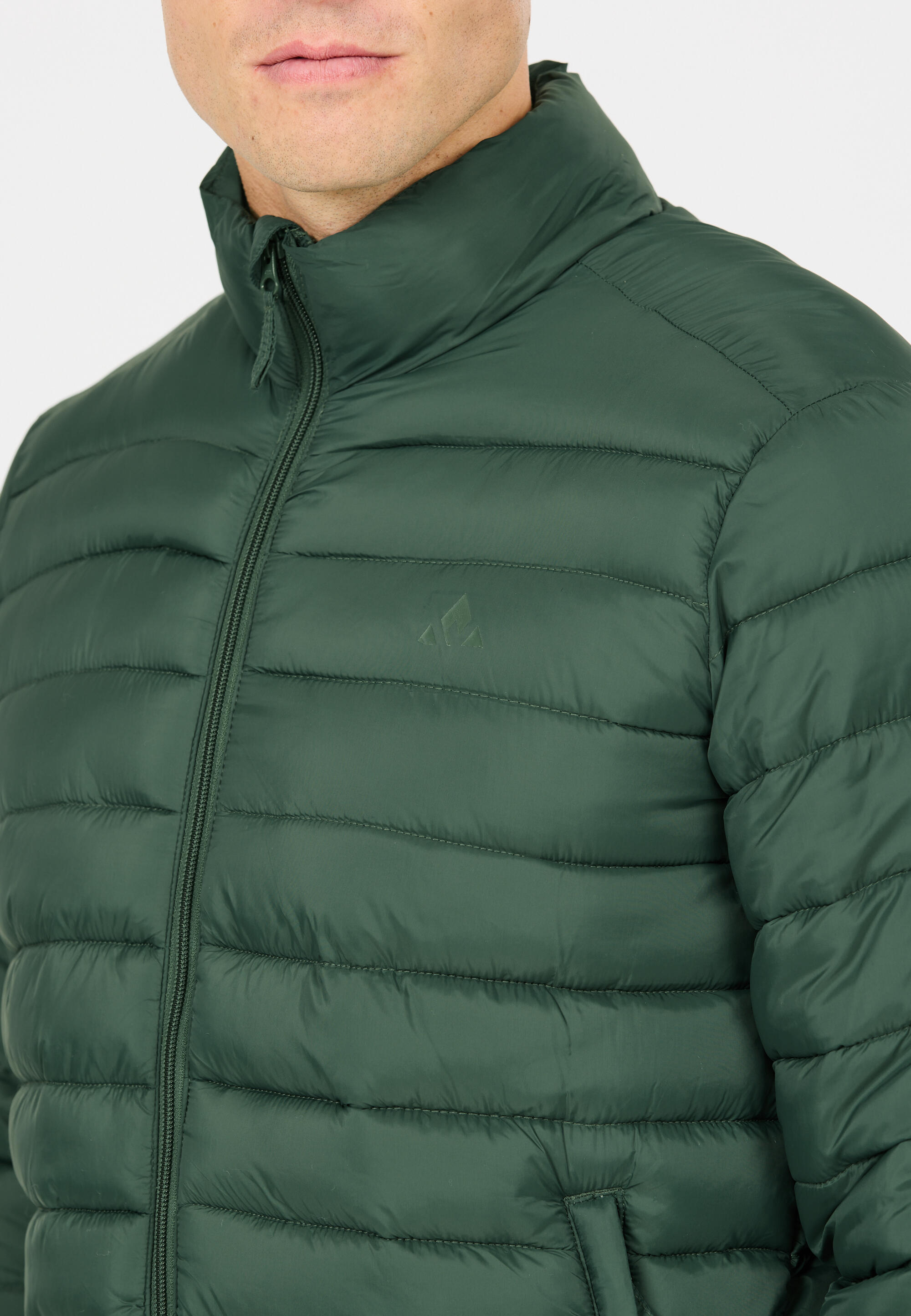 Down jacket Whistler Arubi 8/15