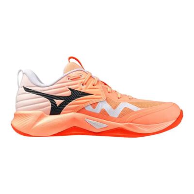 Scarpe indoor Mizuno Wave Momentum Pro