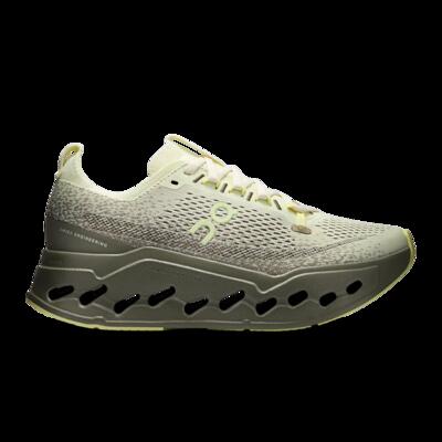 Schoenen - hardlopen - vrouw - cloudsurfer max - demping - sailor