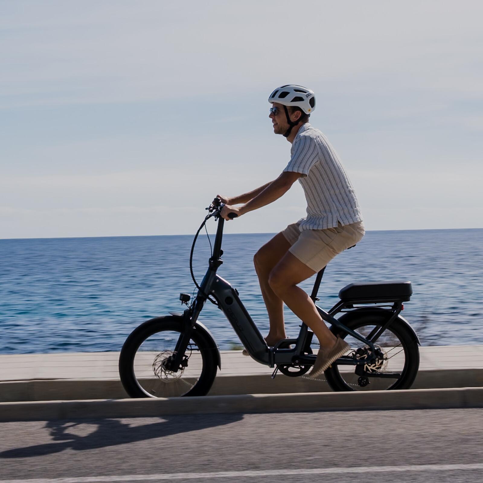 Peridot Rower Elektryczny Składany 20" 250W Czujnik Momentu 500Wh Zasięg 143 Km 9/13