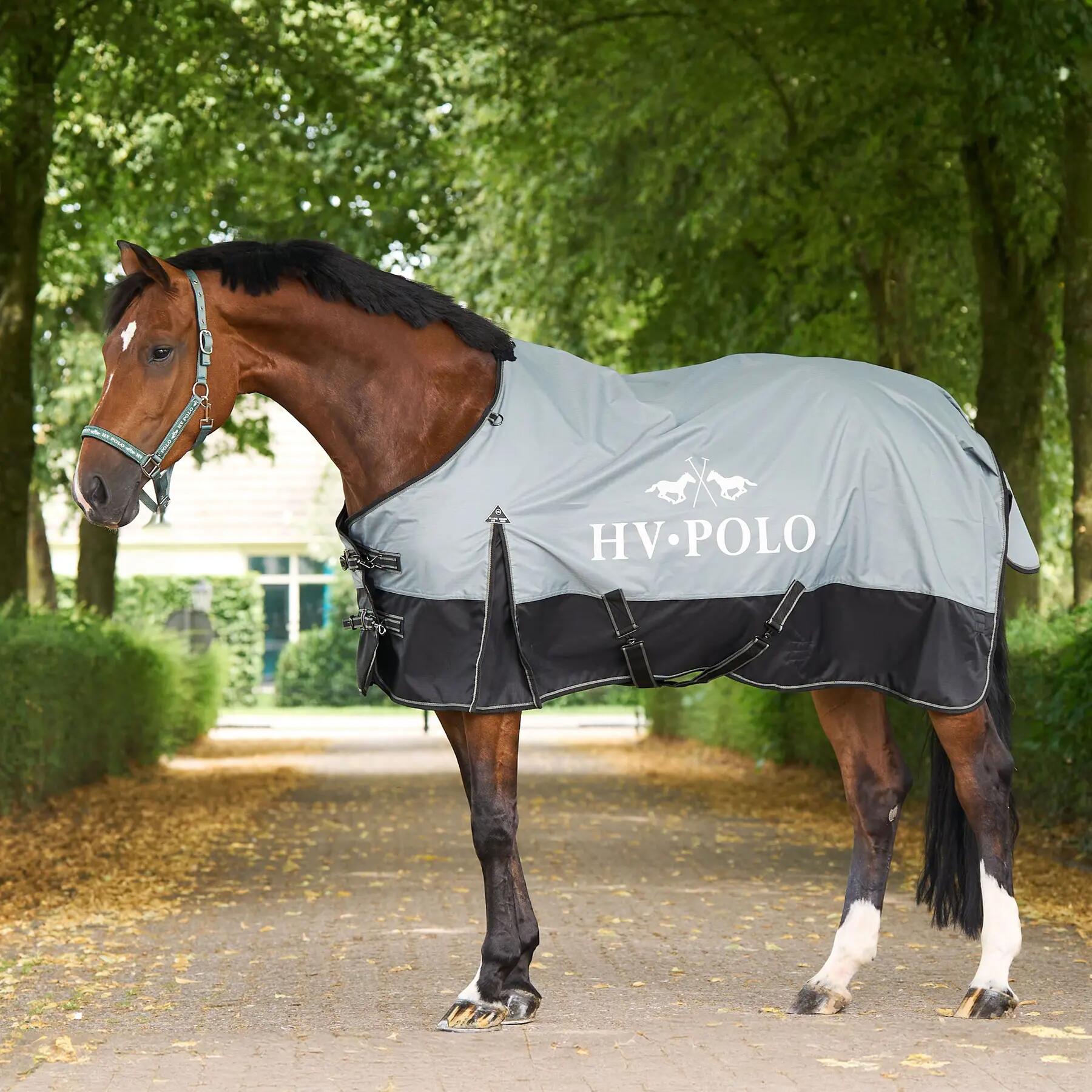 HV POLO picture