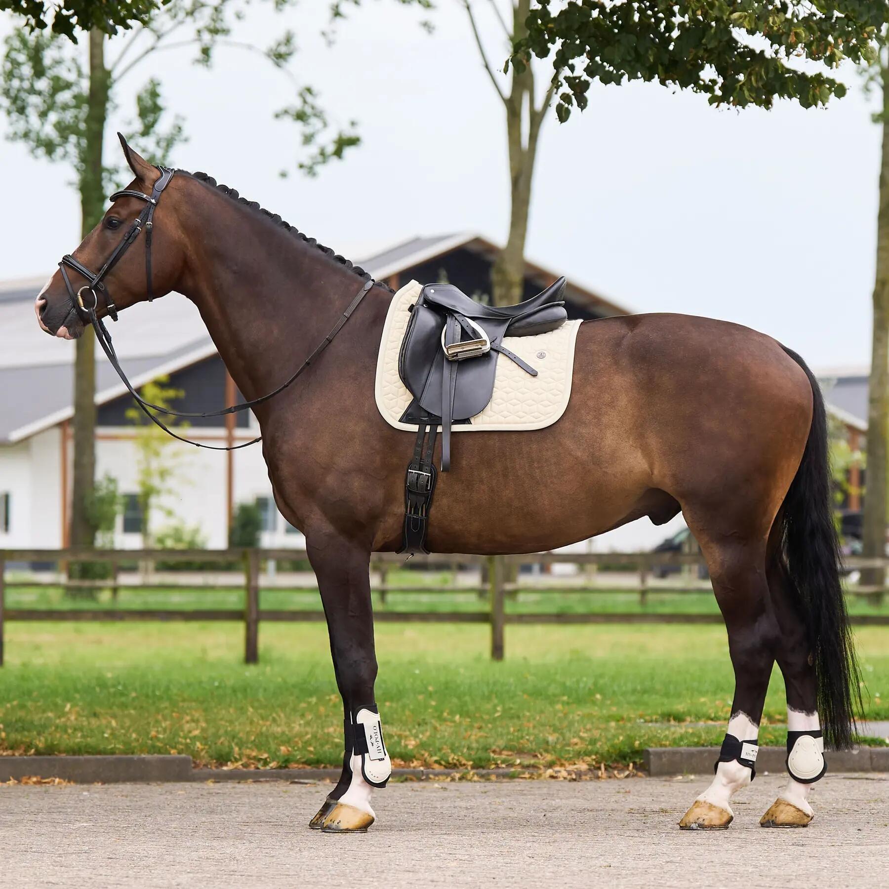 Estera de doma para caballos HV Polo Essential DR 2/3