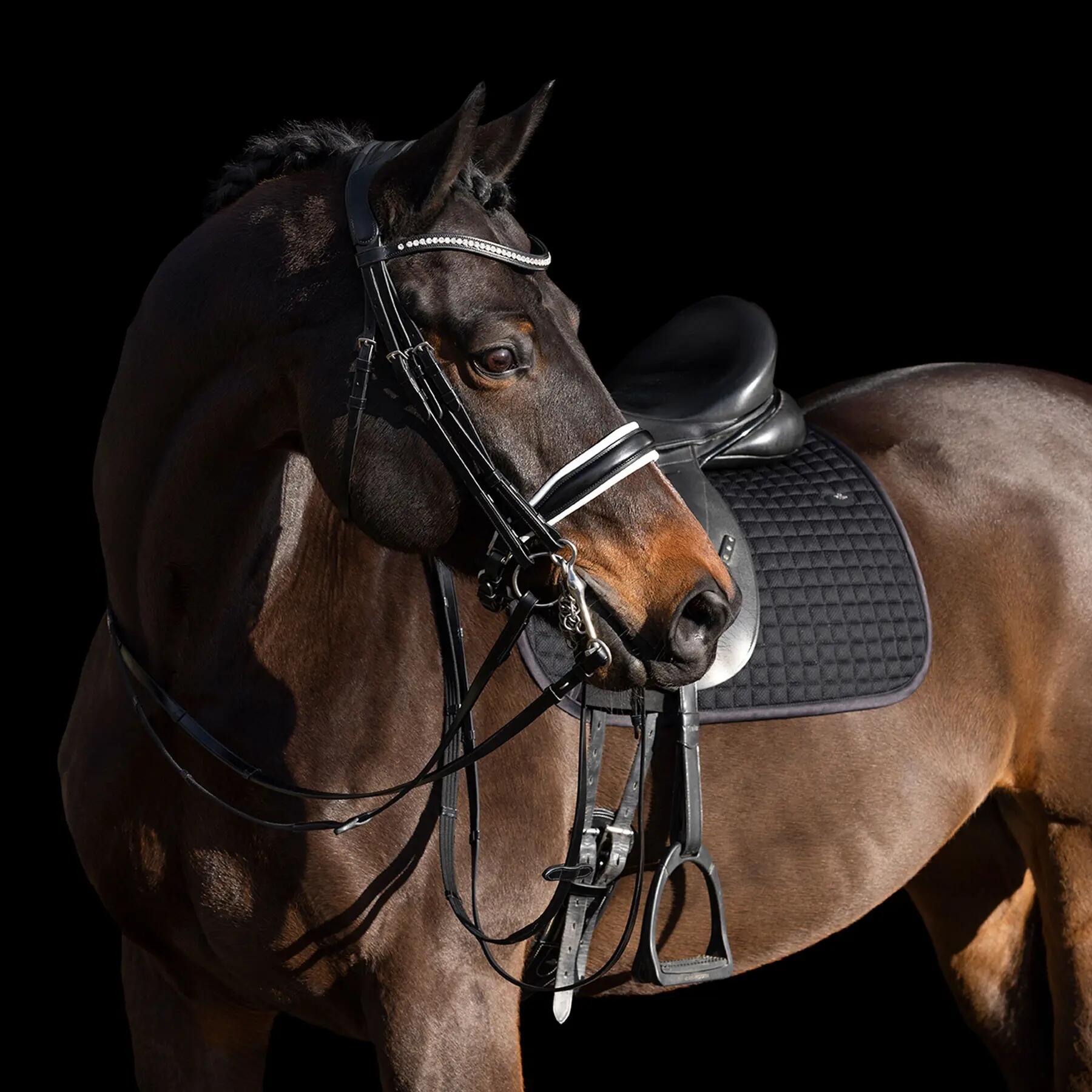 Dressuurmat voor paarden HV Polo Legacy 2/2