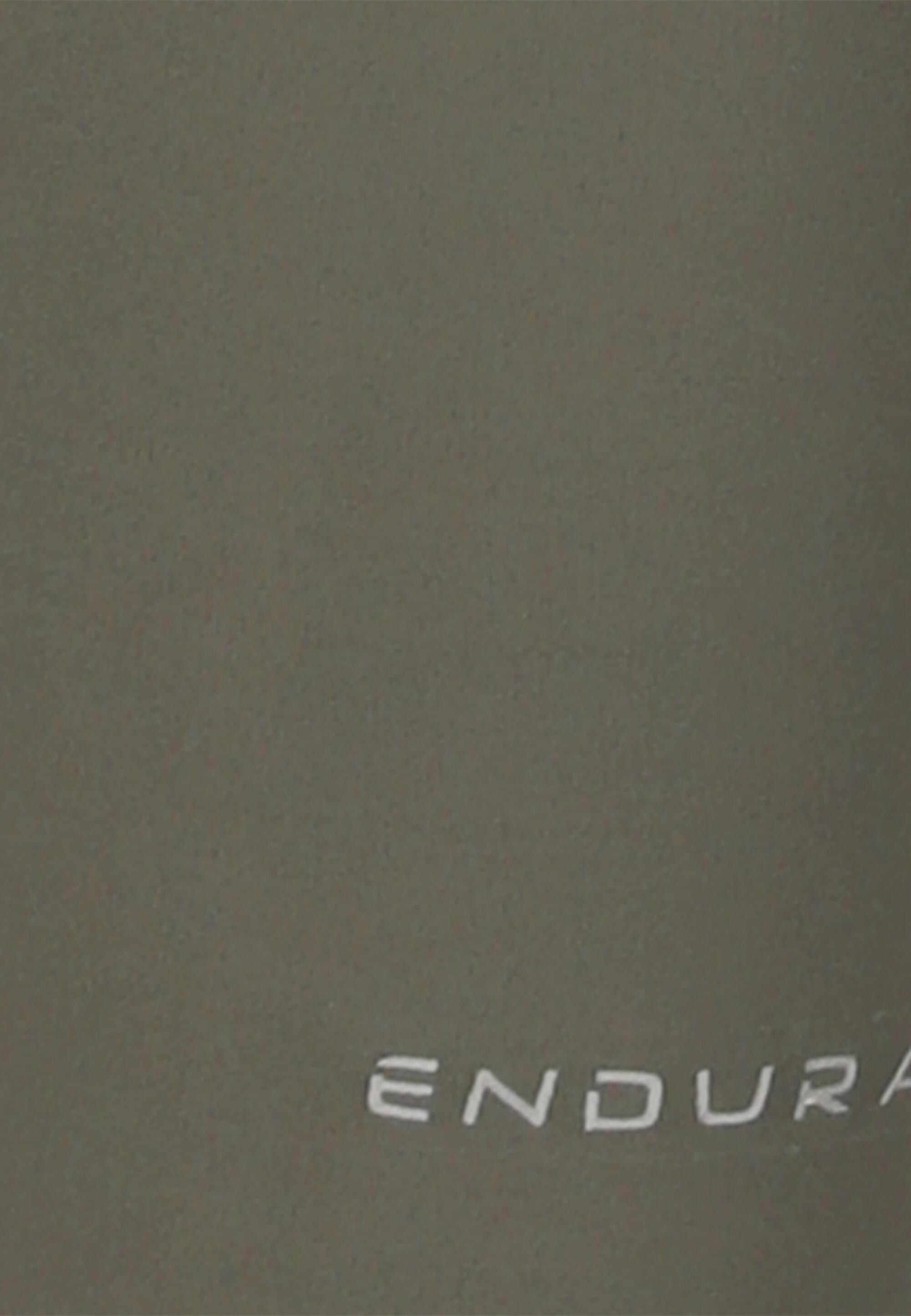 Leggings para mulher Endurance Reygeay 7/15