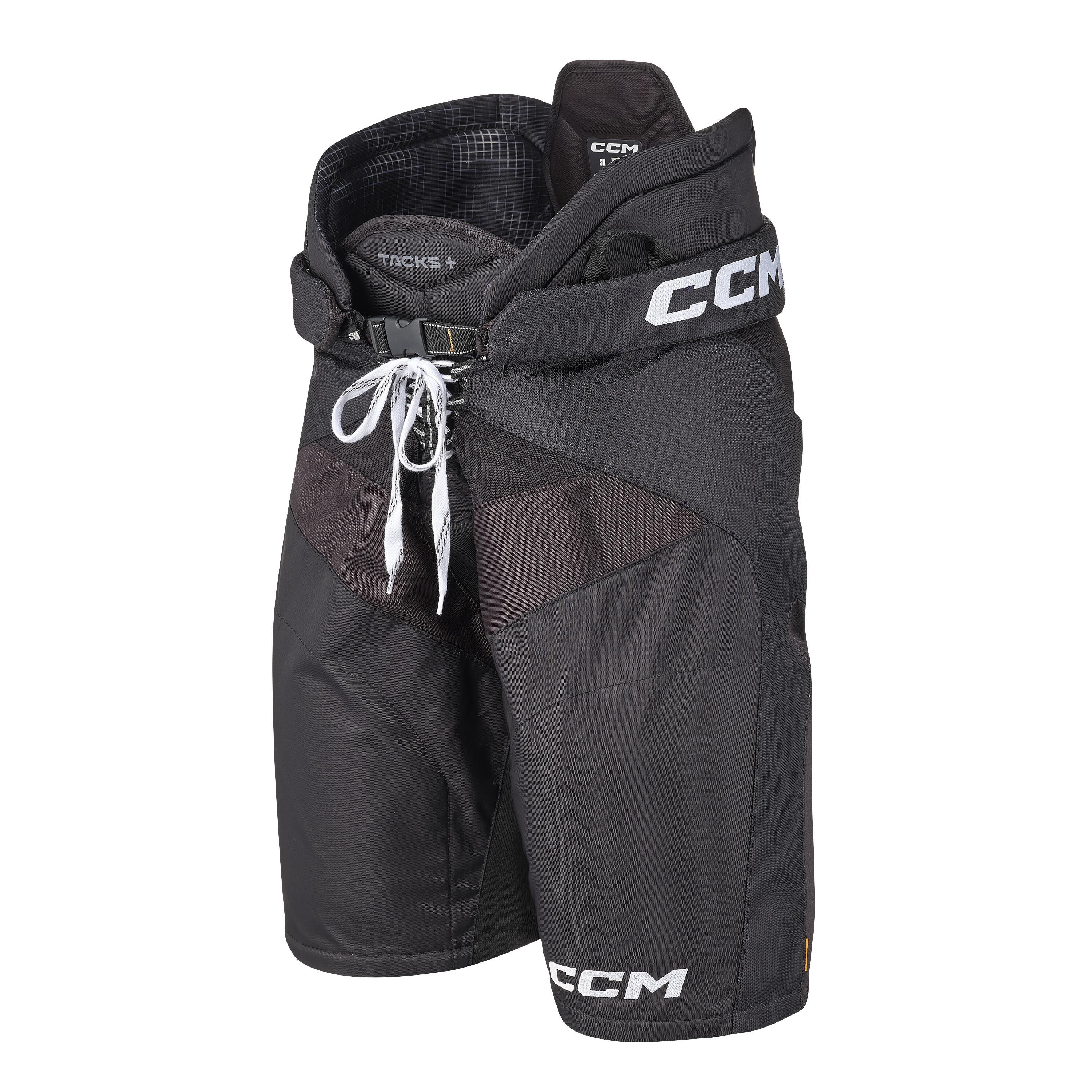 CCM picture