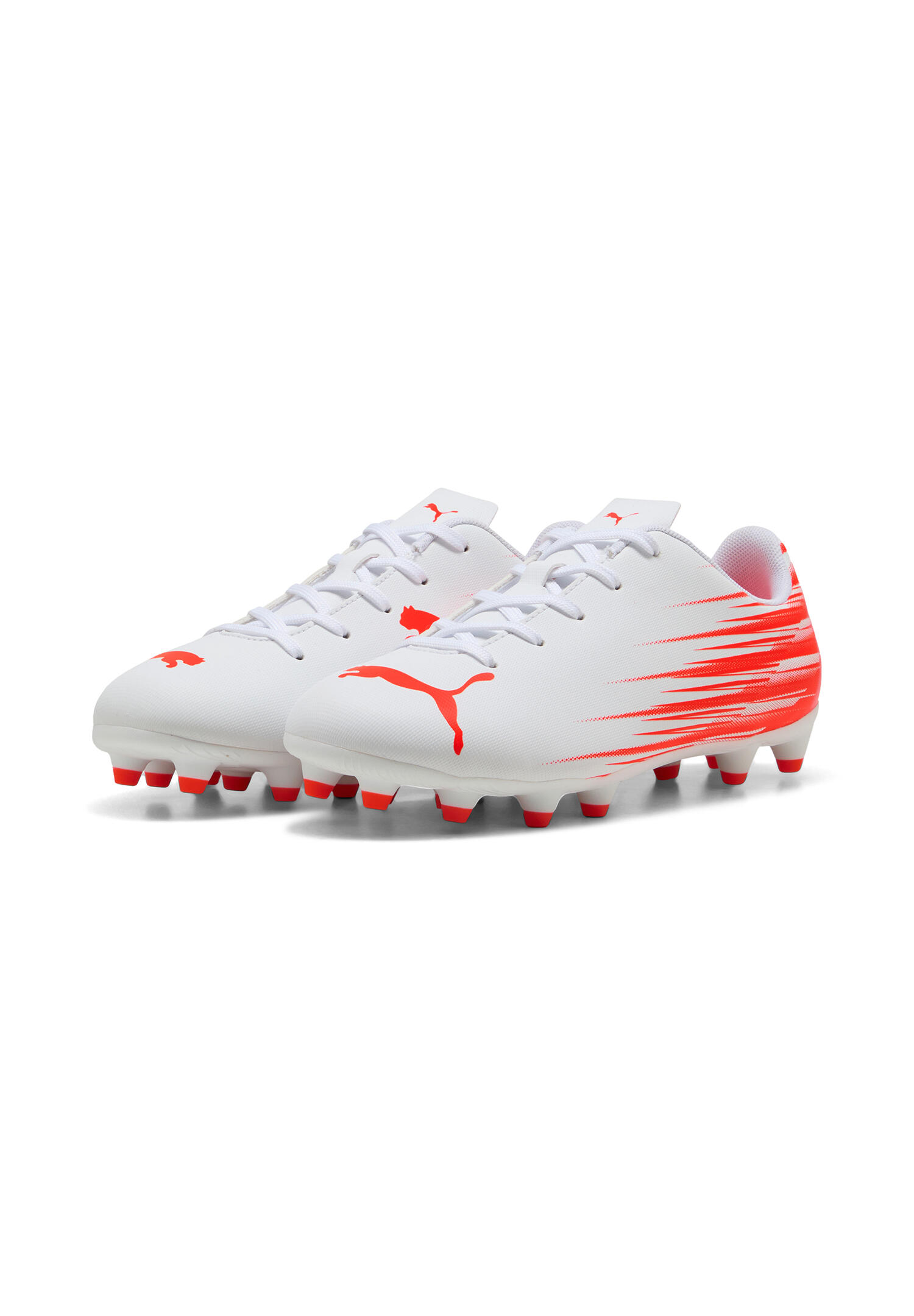 PUMA picture