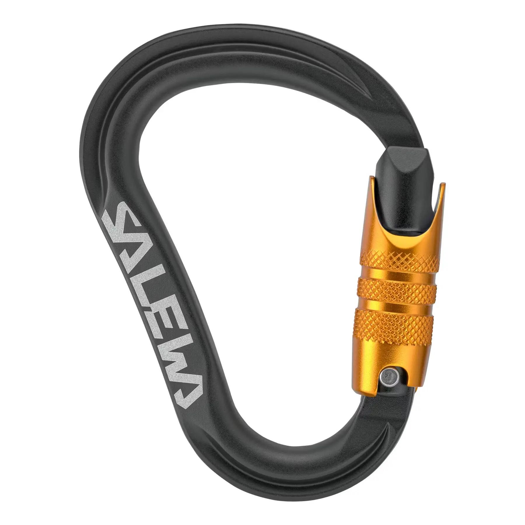 SALEWA picture