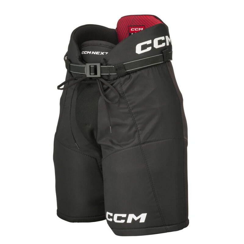 CCM picture
