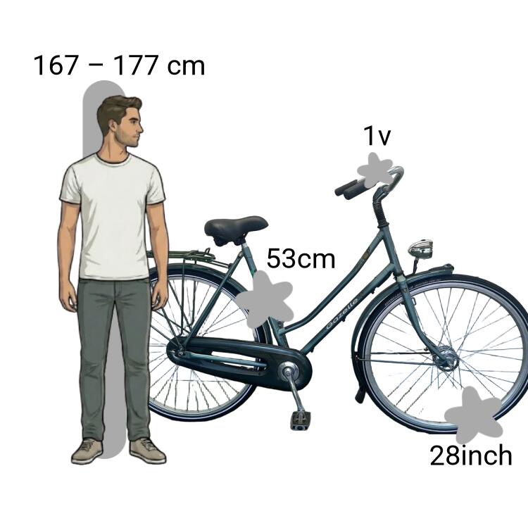 Tweedehands Gazelle Free 2/4