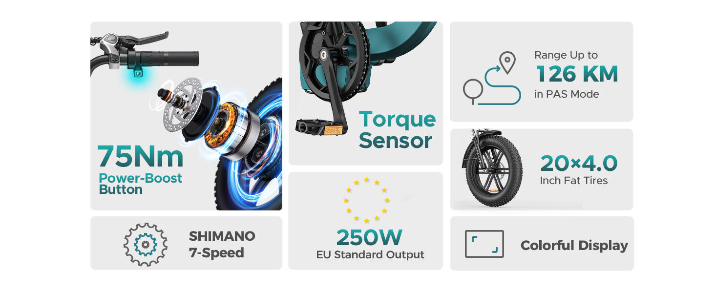 Bicicletta elettrica per adulti ENGWE L20 Boost Batteria 48V 13Ah 5/13