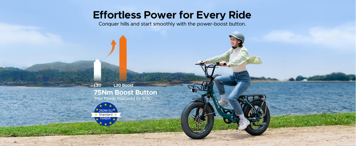 Bicicletta elettrica per adulti ENGWE L20 Boost Batteria 48V 13Ah 11/13