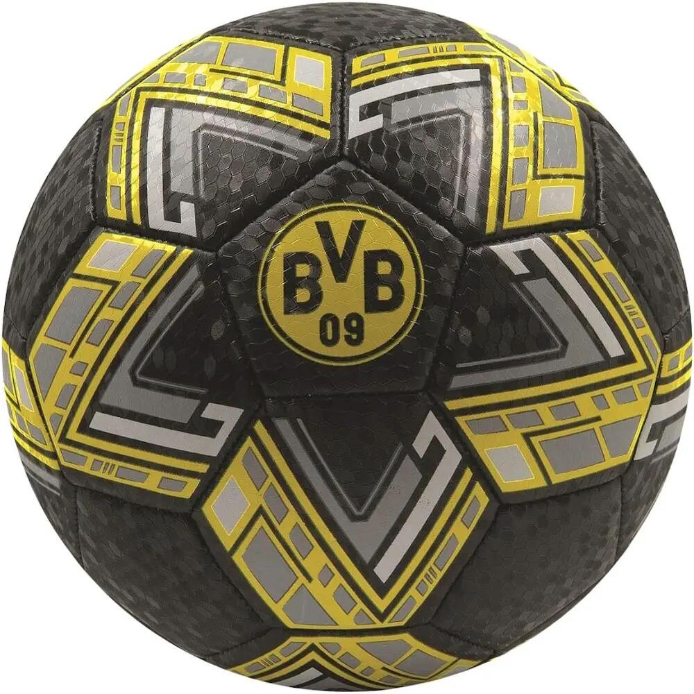 BORUSSIA DORTMUND picture