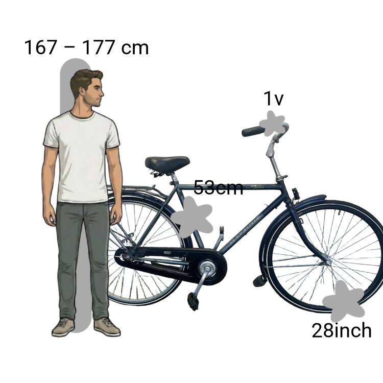 Vélo d’occasion Batavus Verona 2/4