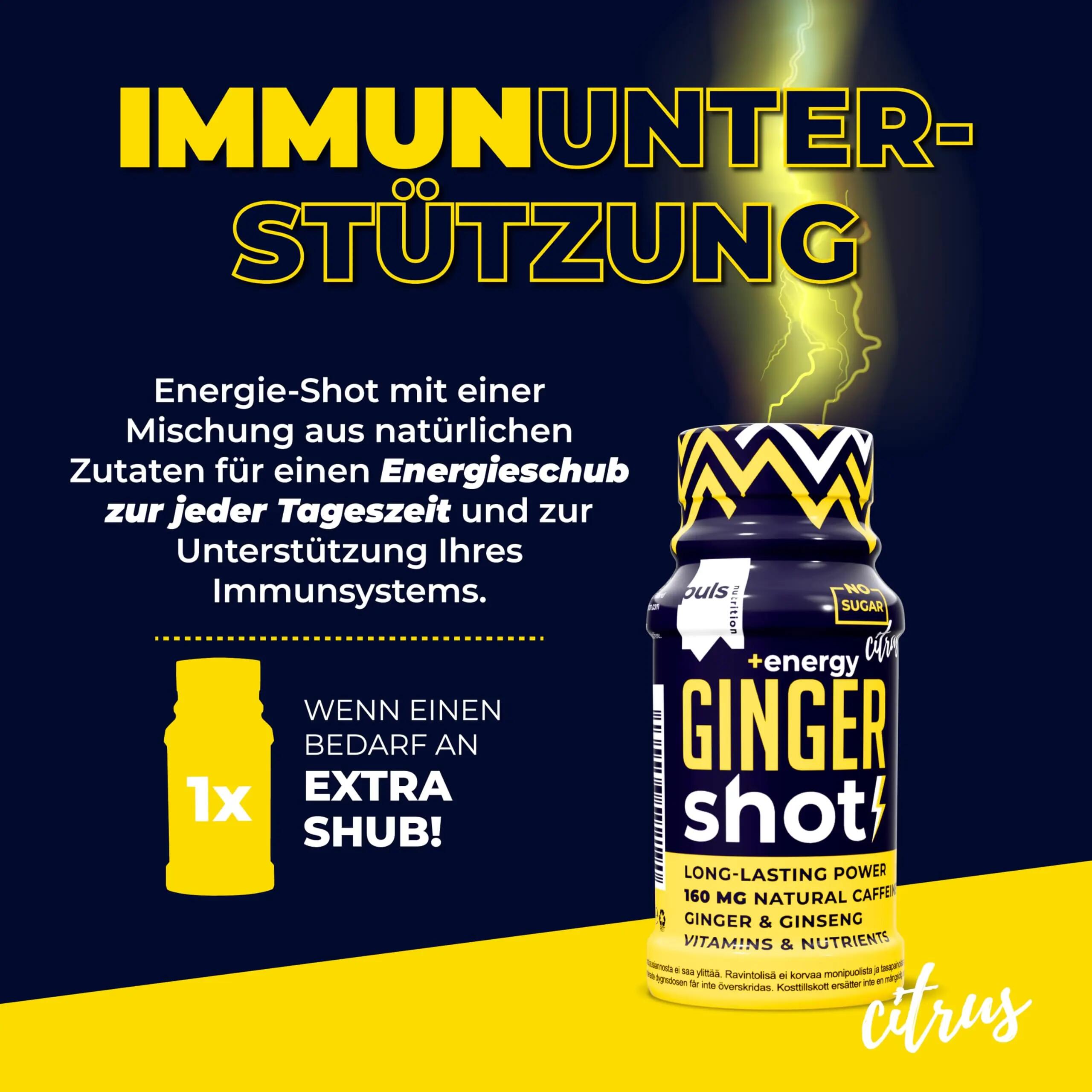 Energie Shot Ingwer 60ml, 12er Pack – Zuckerfrei, vegan, mit 4/6