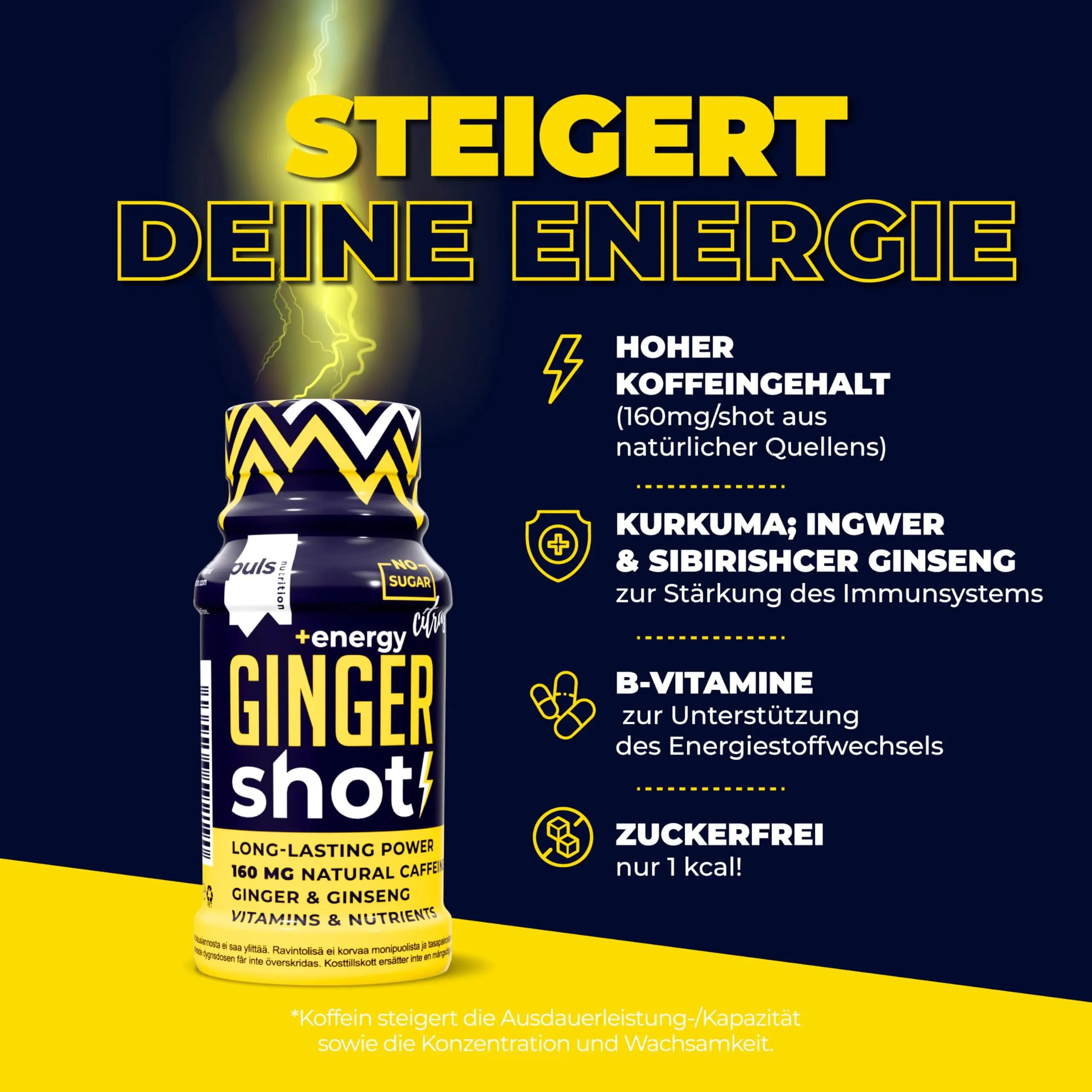 Energie Shot Ingwer 60ml, 12er Pack – Zuckerfrei, vegan, mit 2/6