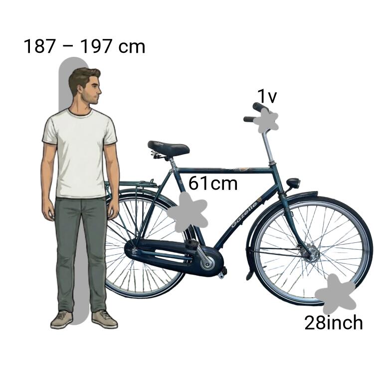 Tweedehands Gazelle 2/4