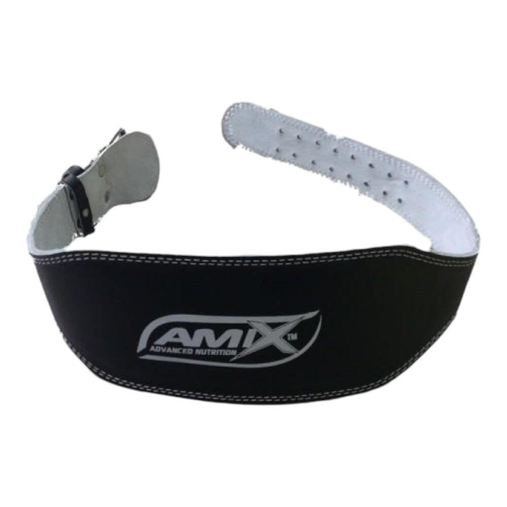 AMIX picture