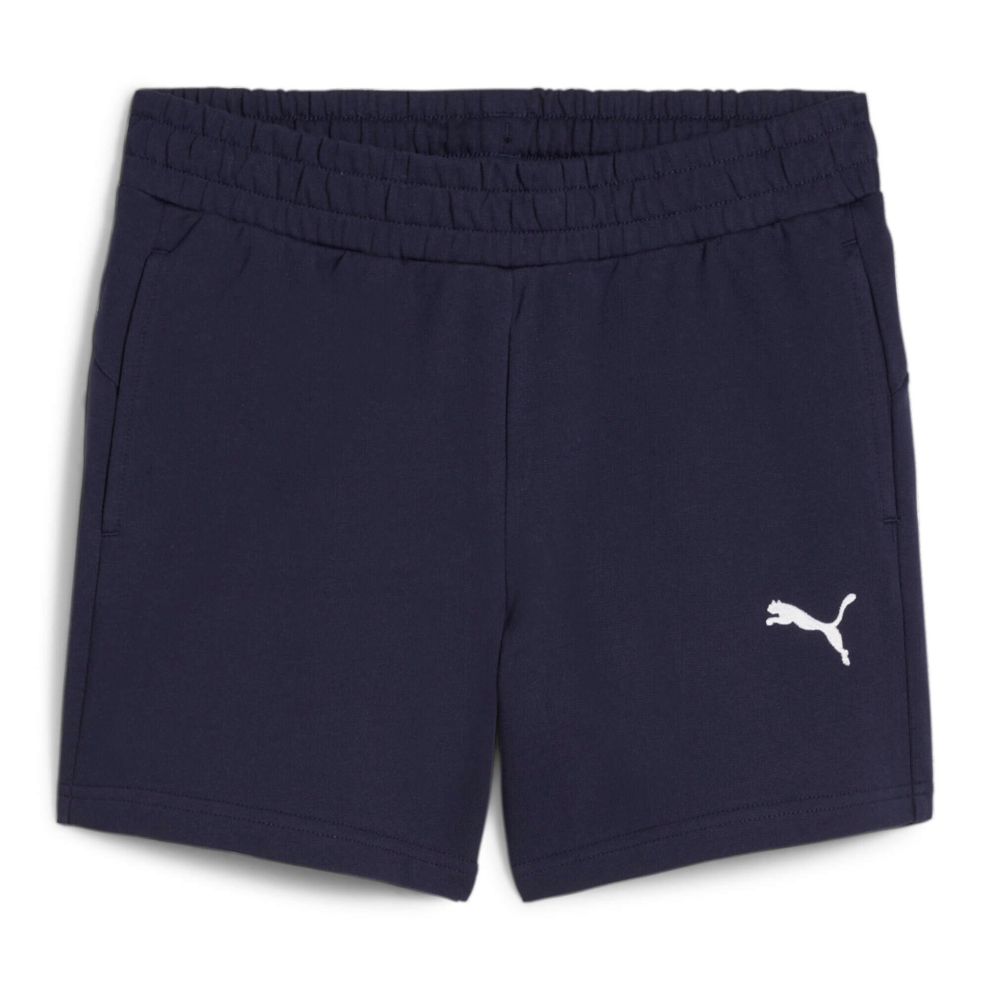 PUMA picture