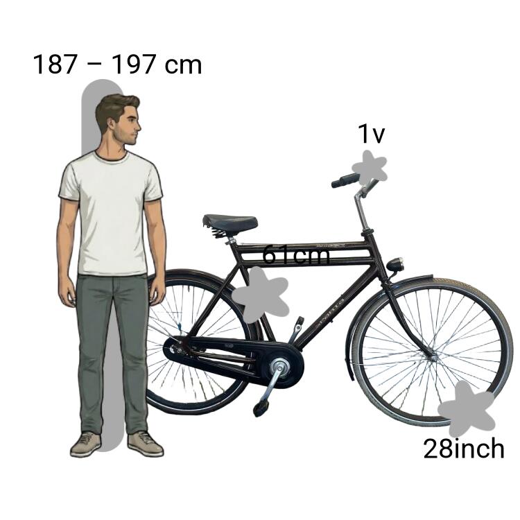Vélo d’occasion Sparta Pick-Up 2/4