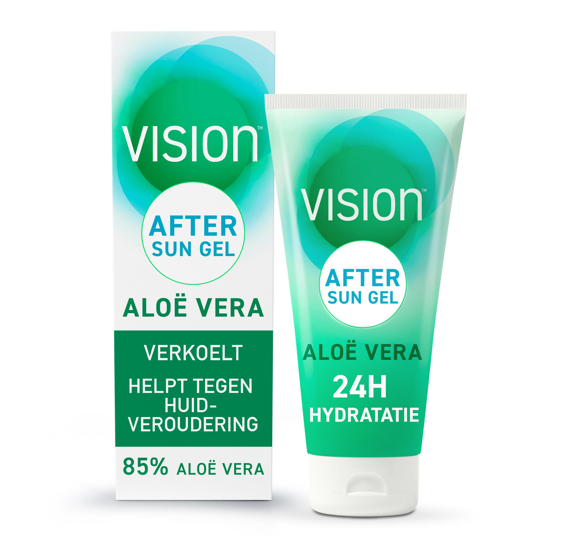 VISION picture