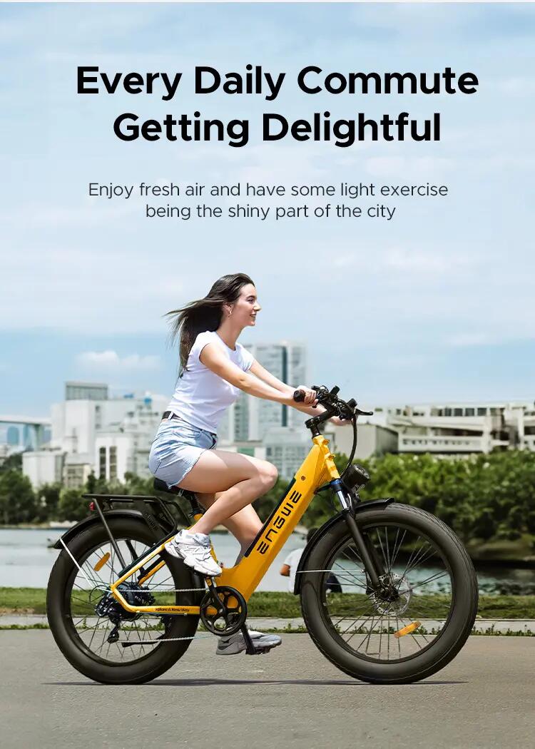 ENGWE-E26 elektrische stadsfiets lange actieradius 3/6