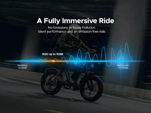 ENGWE-M20 Dual Battery bicicleta eletrica urbana longa autonomia 6/7