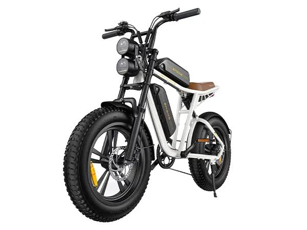ENGWE-M20 Dual Battery bicicleta eletrica urbana longa autonomia 3/7