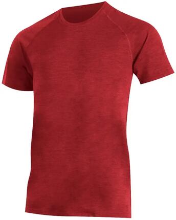 Merino thermoshirt voor heren CARLOS