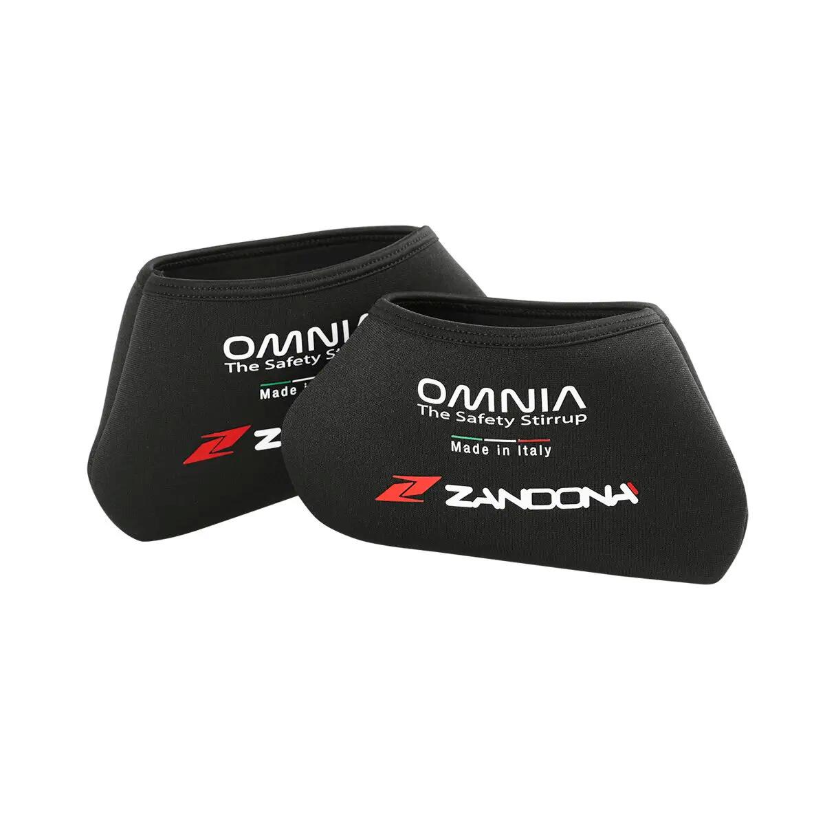 ZANDONÀ picture
