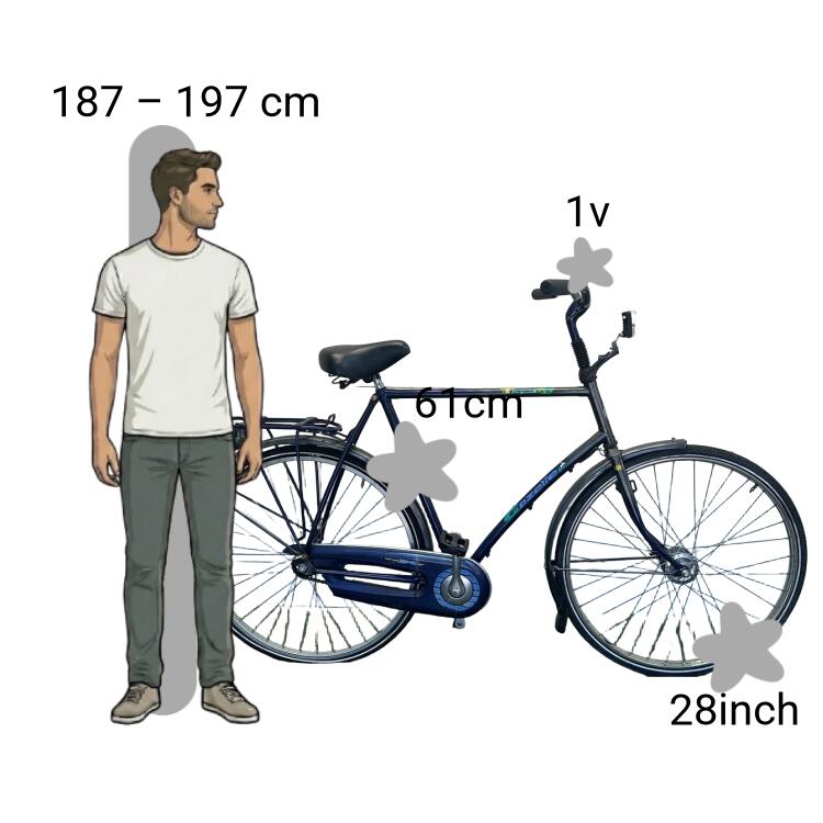Vélo d’occasion Gazelle Trendy 2/4
