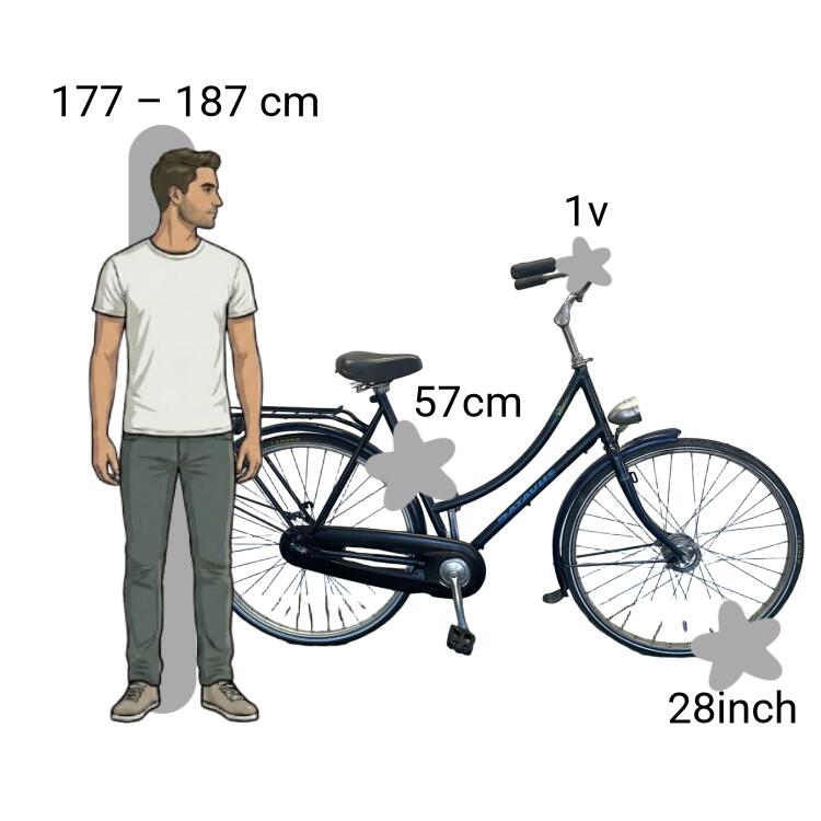 Vélo d’occasion Batavus Florence 2/4