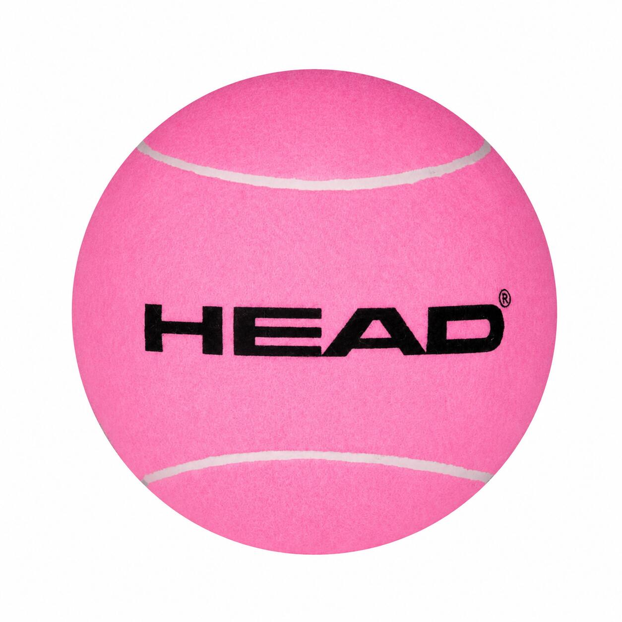 HEAD picture