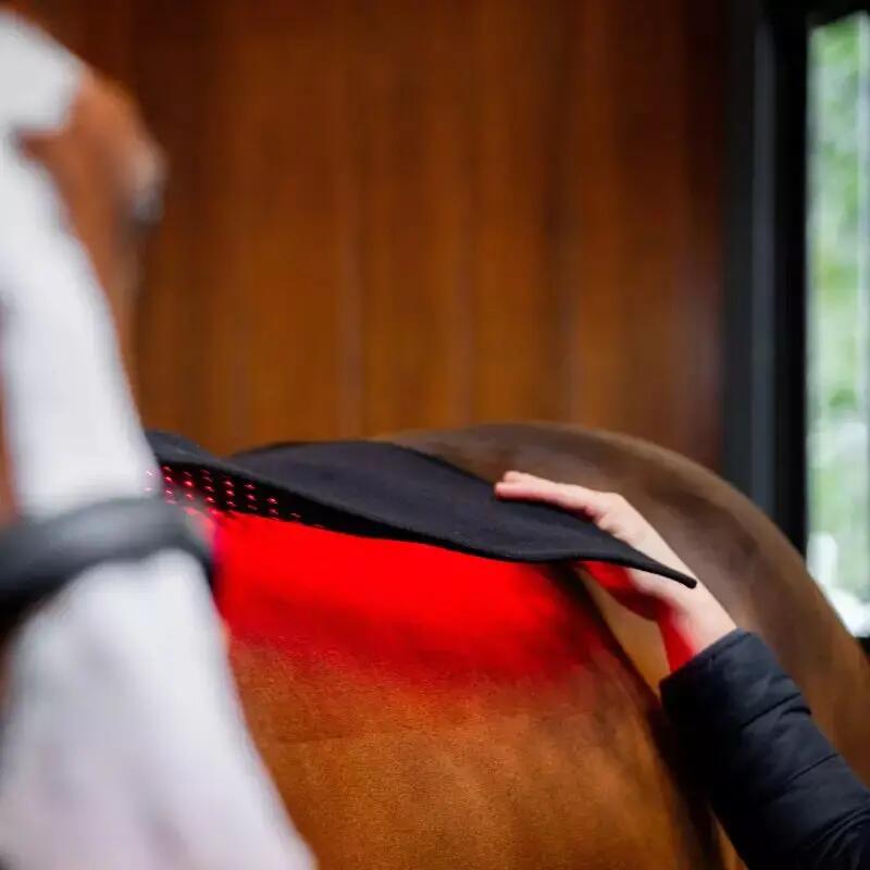 Tapete de sela terapêutico Horseware 7/7
