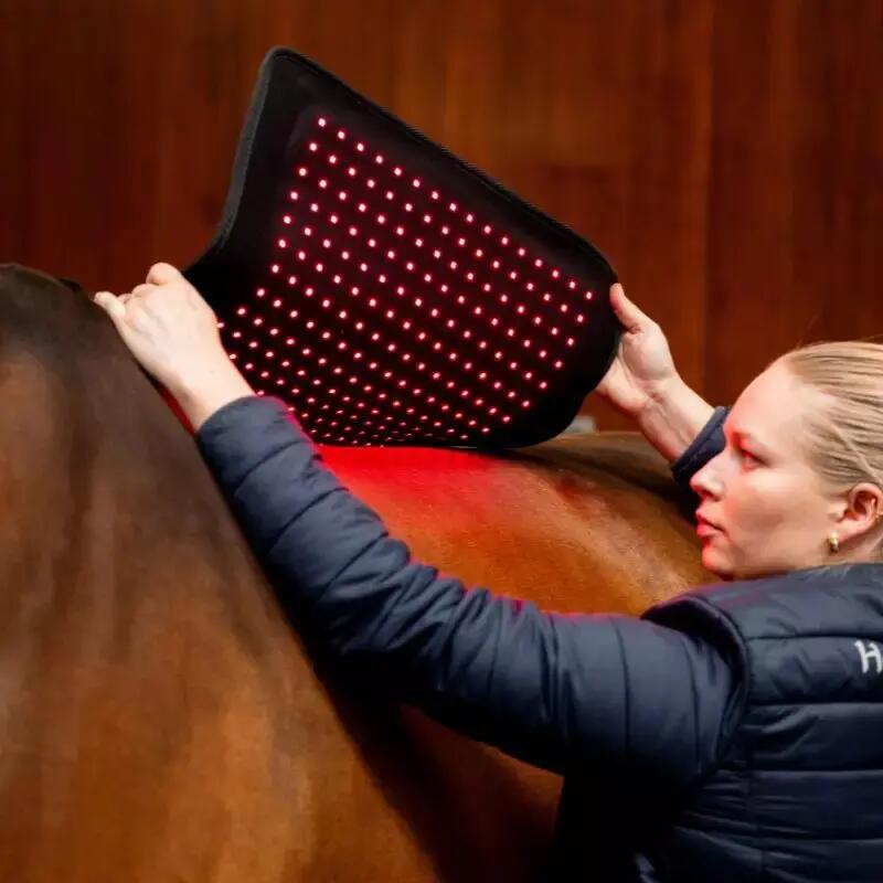 Tapete de sela terapêutico Horseware 6/7