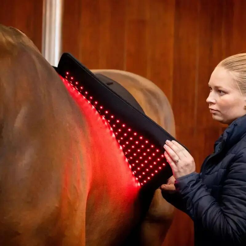 Tapete de sela terapêutico Horseware 4/7