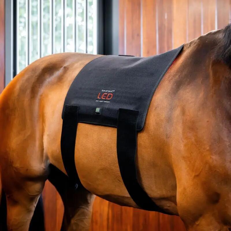 Tapete de sela terapêutico Horseware 2/7