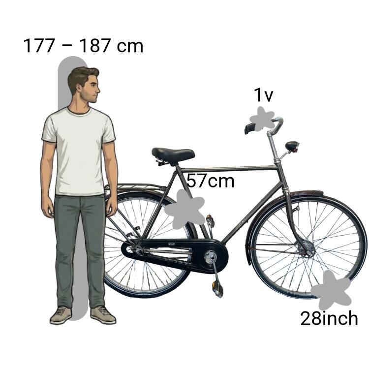 Vélo d’occasion Union 2/4
