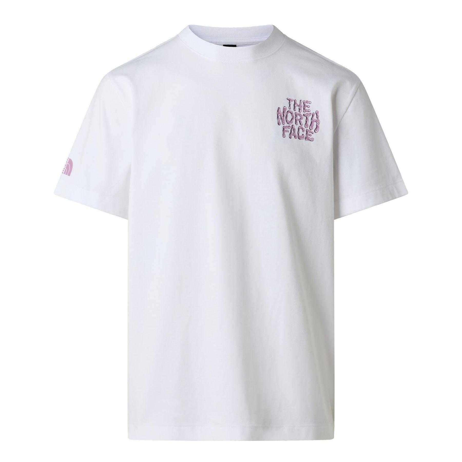 The North Face Womens/Ladies Drip Logo T-Shirt