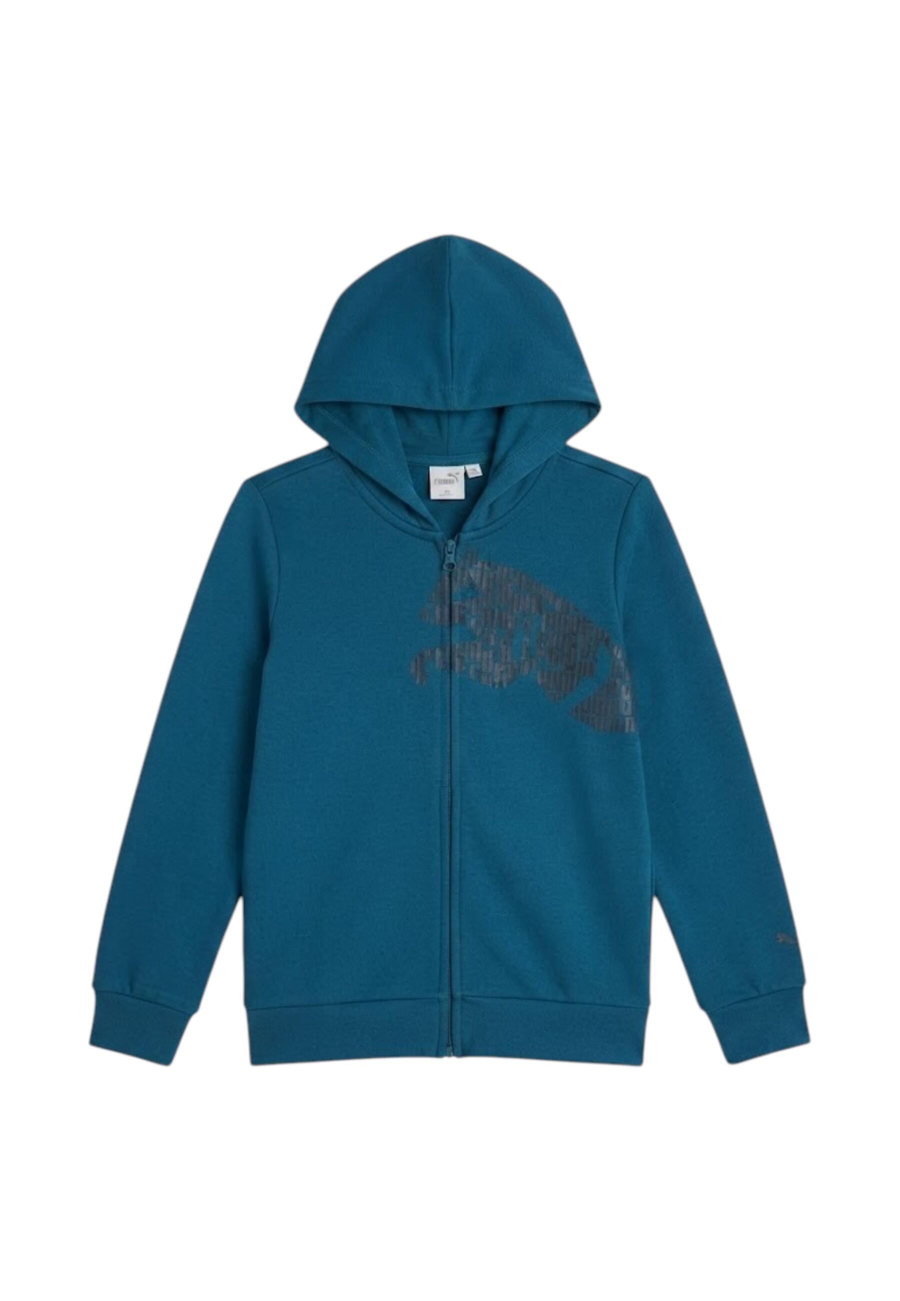 ESS GRAP FULL-ZIP HO COL 36 4/5