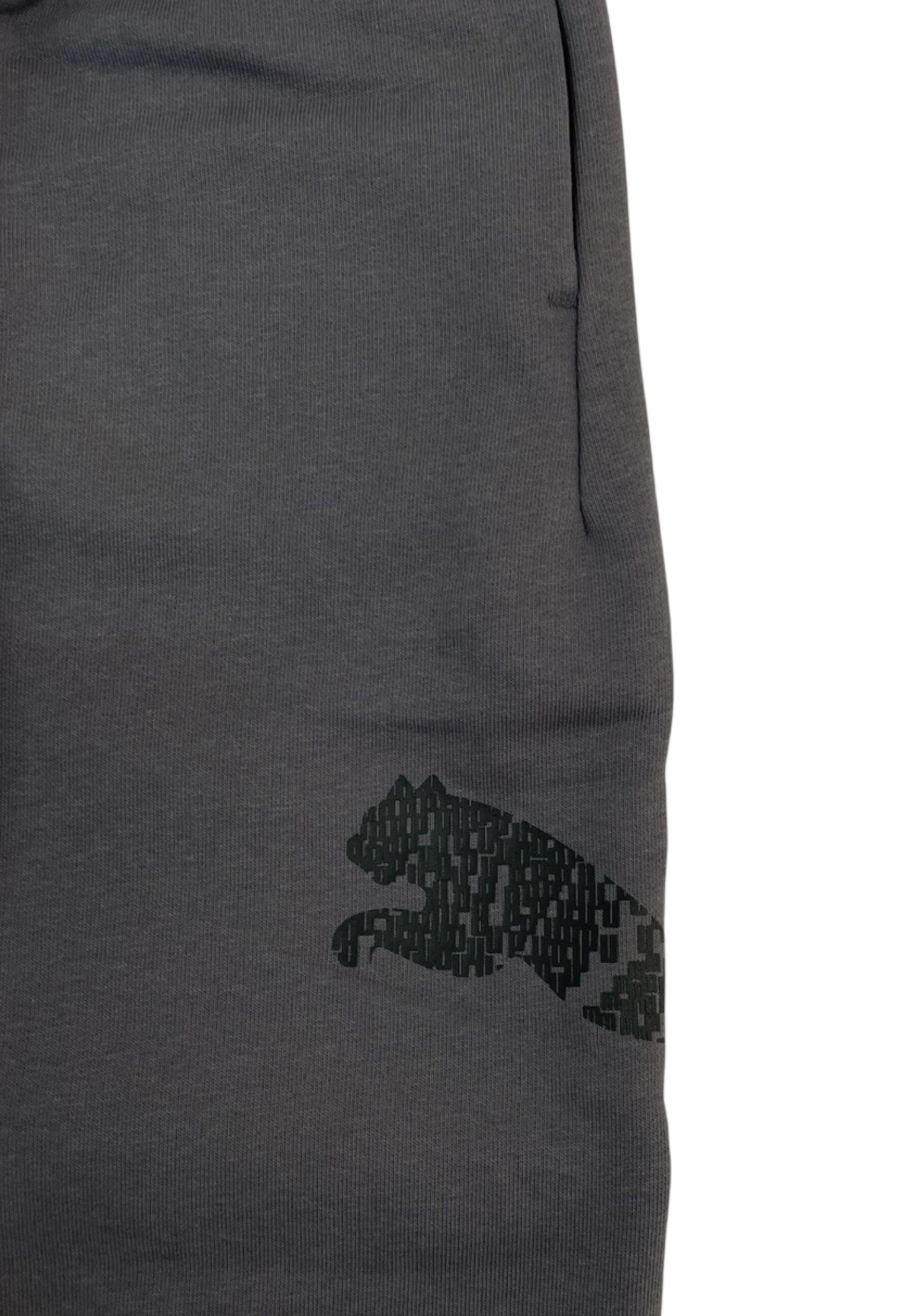 ESS GRAP PANTS TR COL 34 3/5